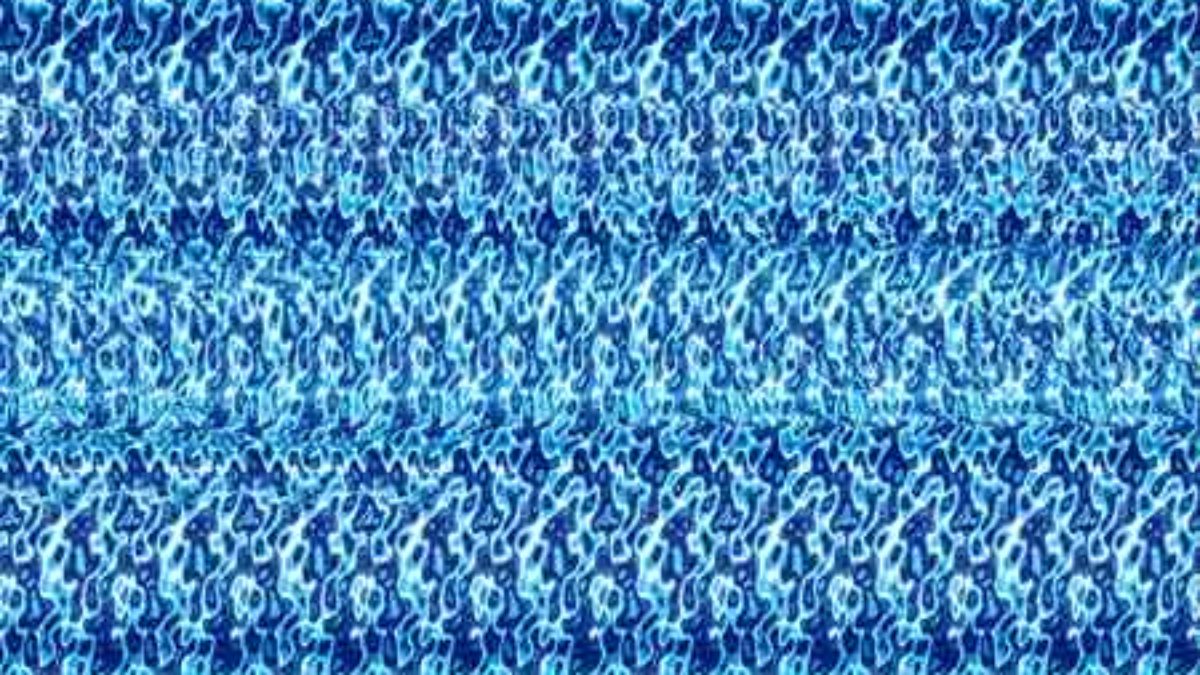 Stereogram shark